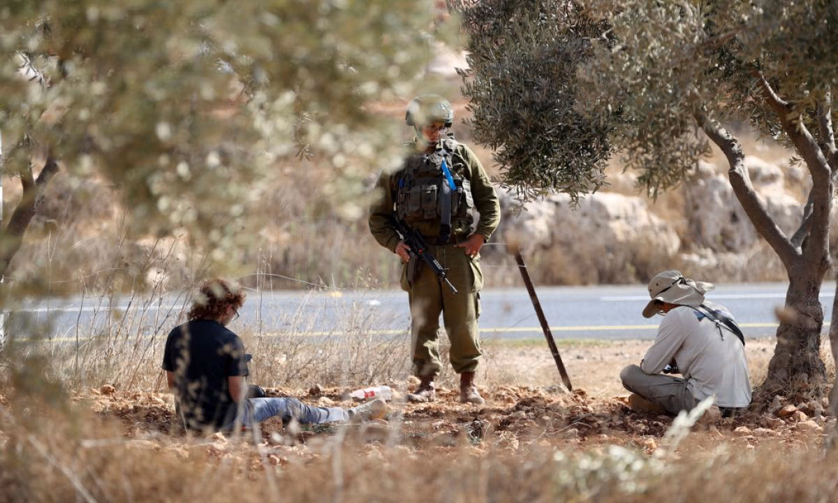 ¿Cuál fue la campaña de la aceituna?