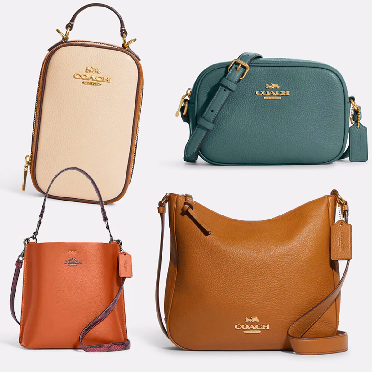 Can I buy a Coach bag on Amazon?