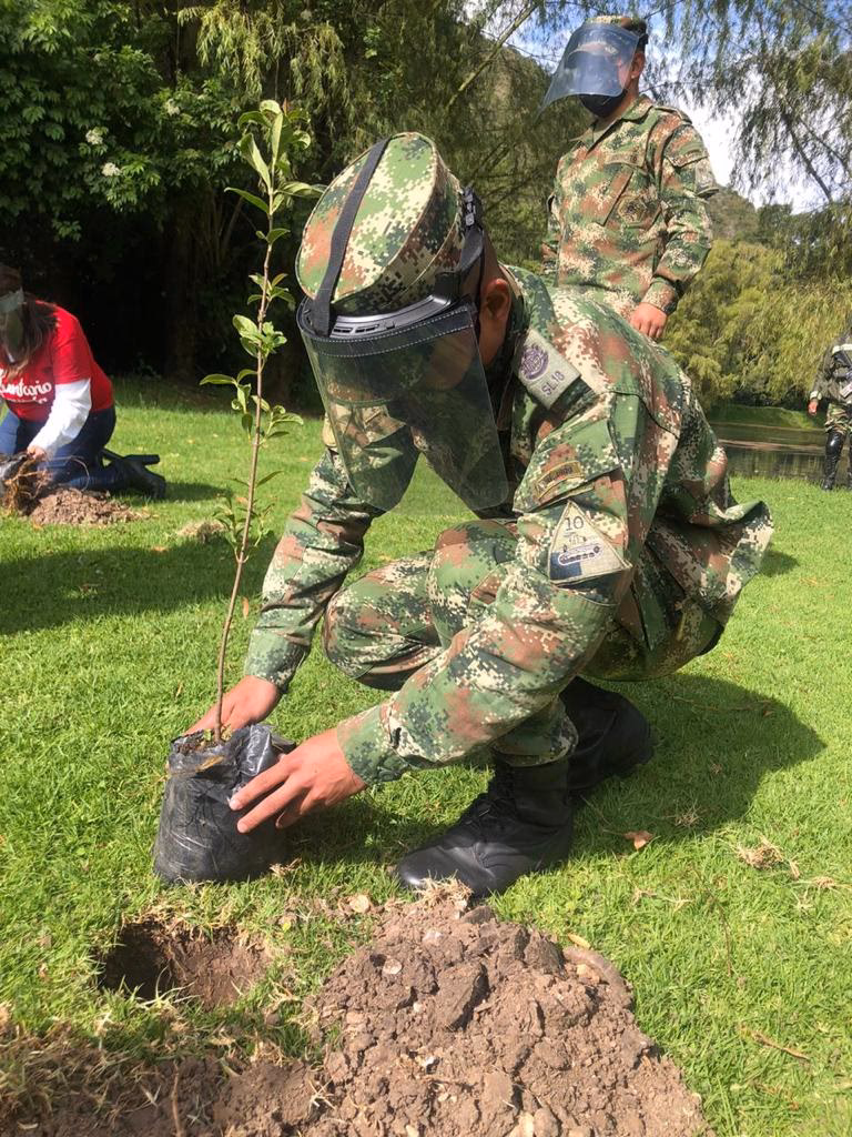 ¿Qué hace un ambientólogo?