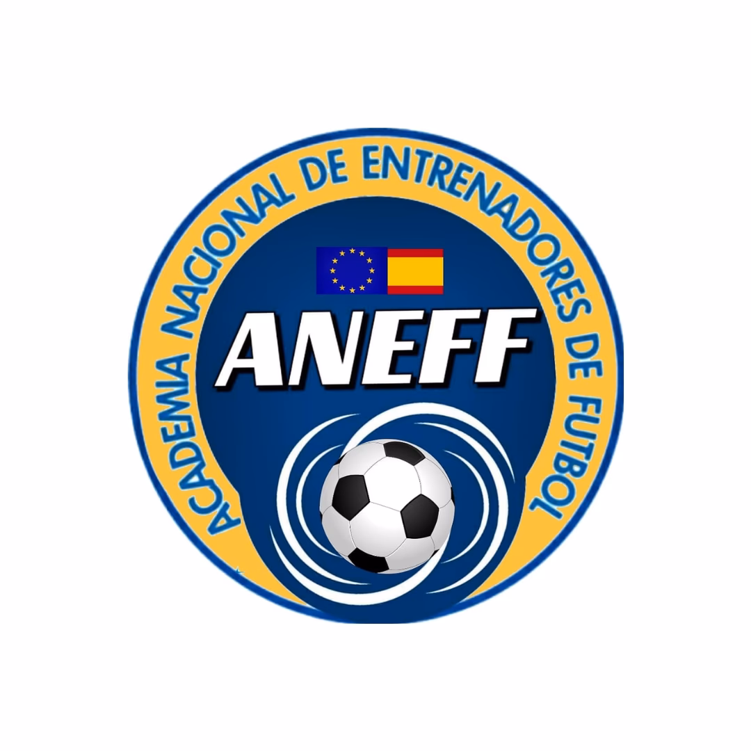 ¿Qué es Aneff y para qué sirve?