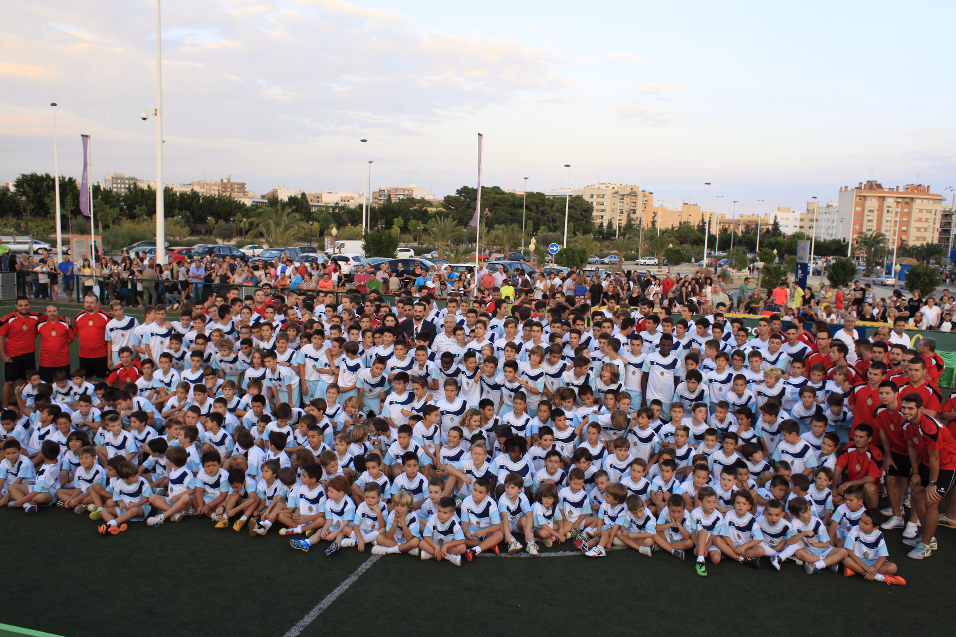 ¿Qué pasó con la carrera de Ariel?