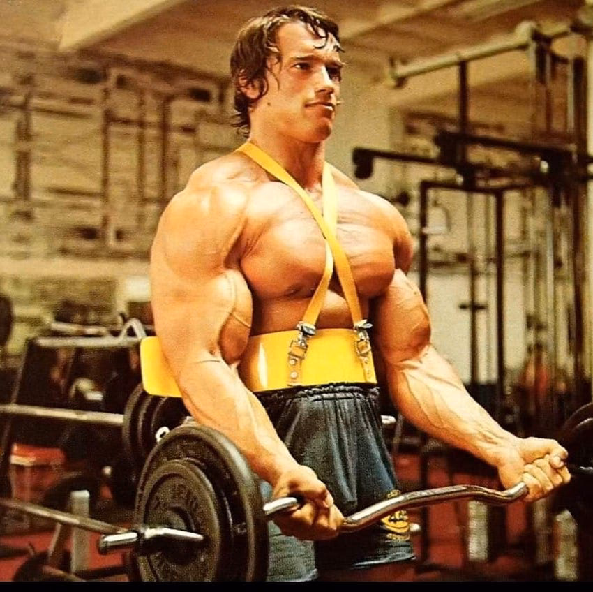 ¿Cuántas veces al día entrena Arnold Schwarzenegger?