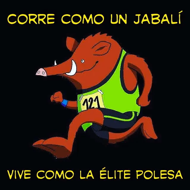 ¿Quién es el único candidato para convertirse en entrenador?