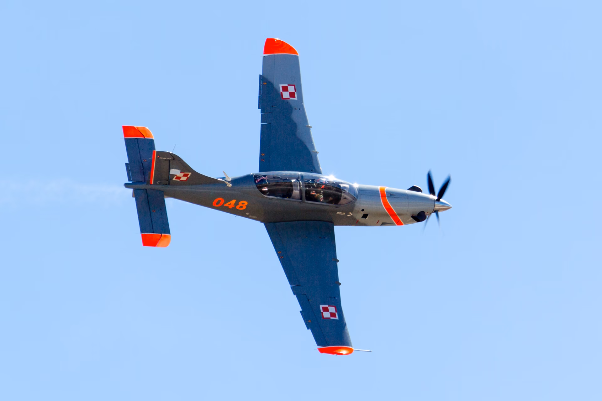 ¿Cuál fue el único vuelo que pilotó Orville?