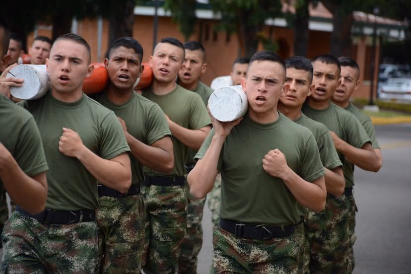 ¿Quién es el profesor de Gimnasia?