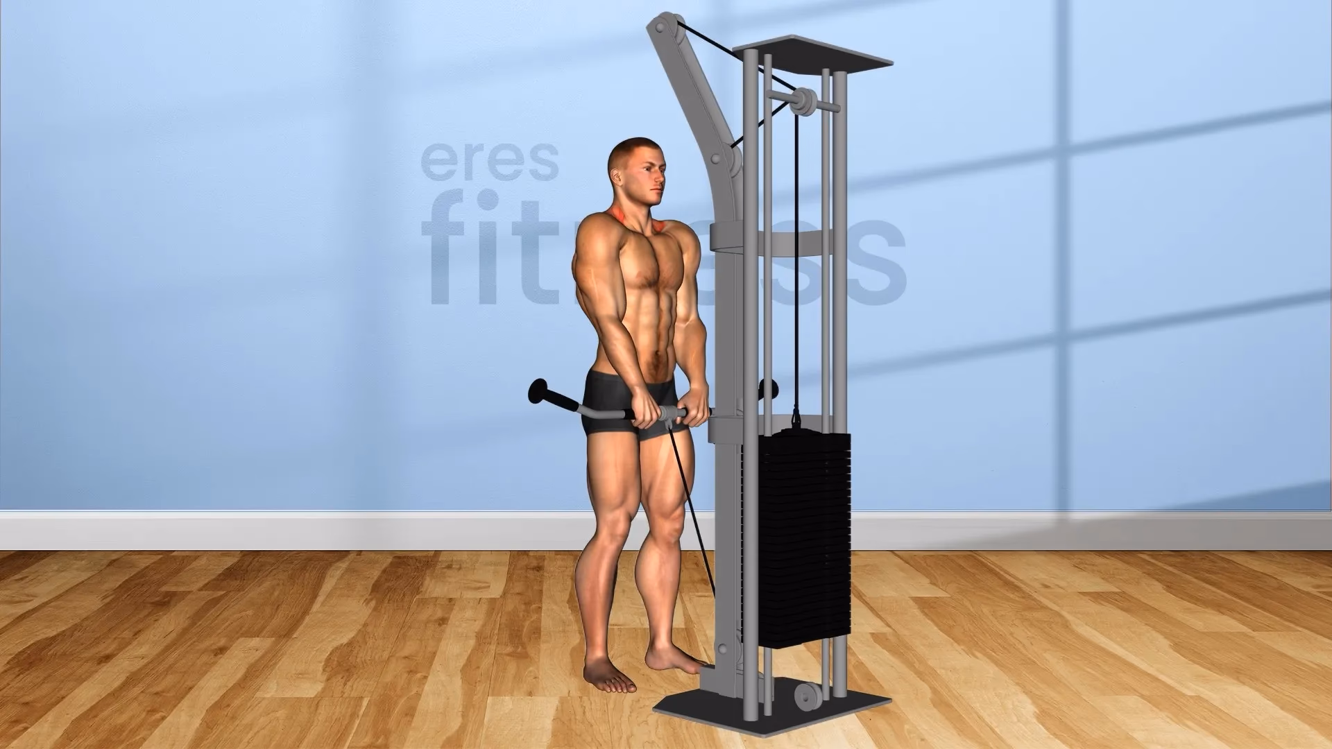 ¿Cuántas veces se puede entrenar los hombros?