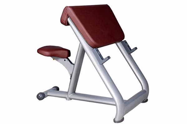 ¿Cuáles son los mejores entrenamientos de bíceps?