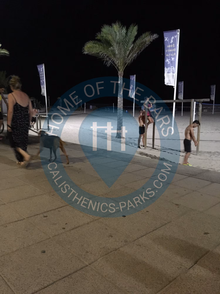 ¿Cuáles son los Barris del Grau de Gandia?