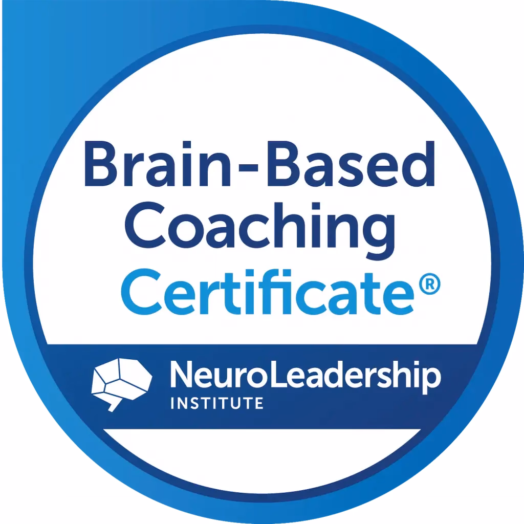 What is the BBC Leadership Programme?