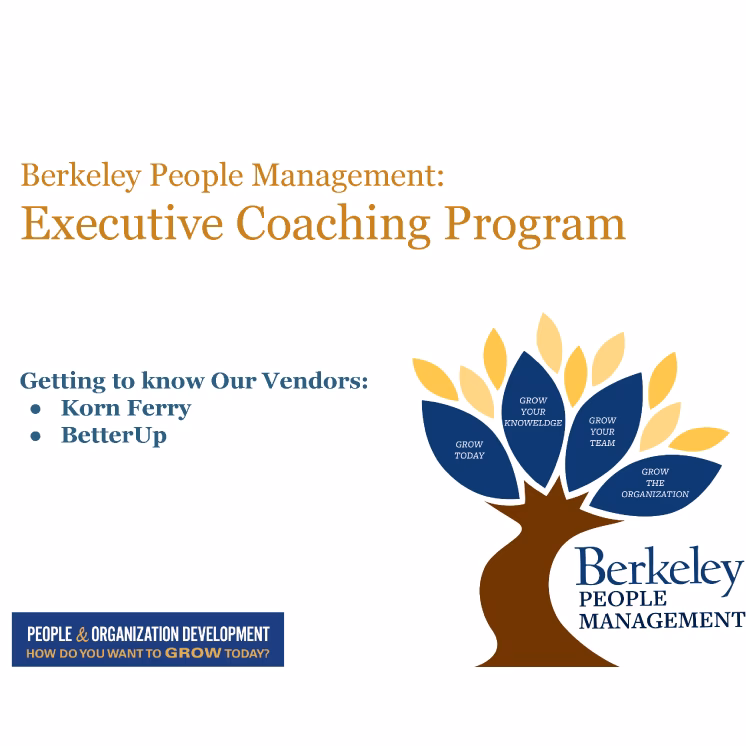 What is the Berkeley Executive Leadership Program?