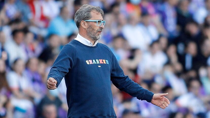 ¿Qué pasó con Bolo?