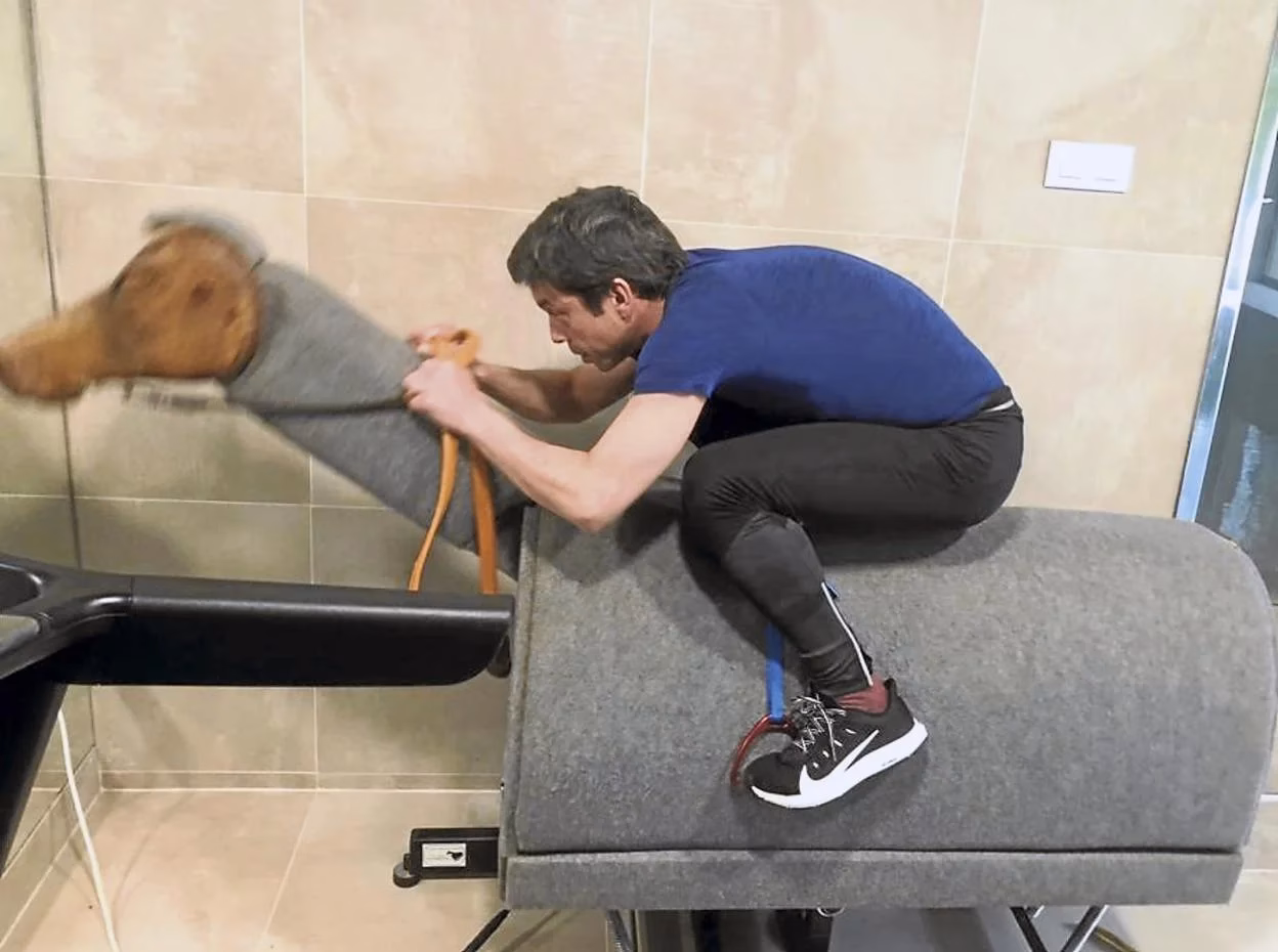 ¿Cuáles son las técnicas de trabajo con el caballo?