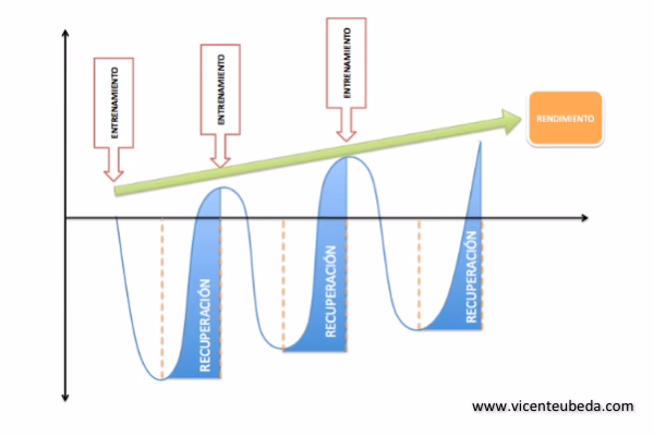 ¿Qué es la carga de entrenamiento?