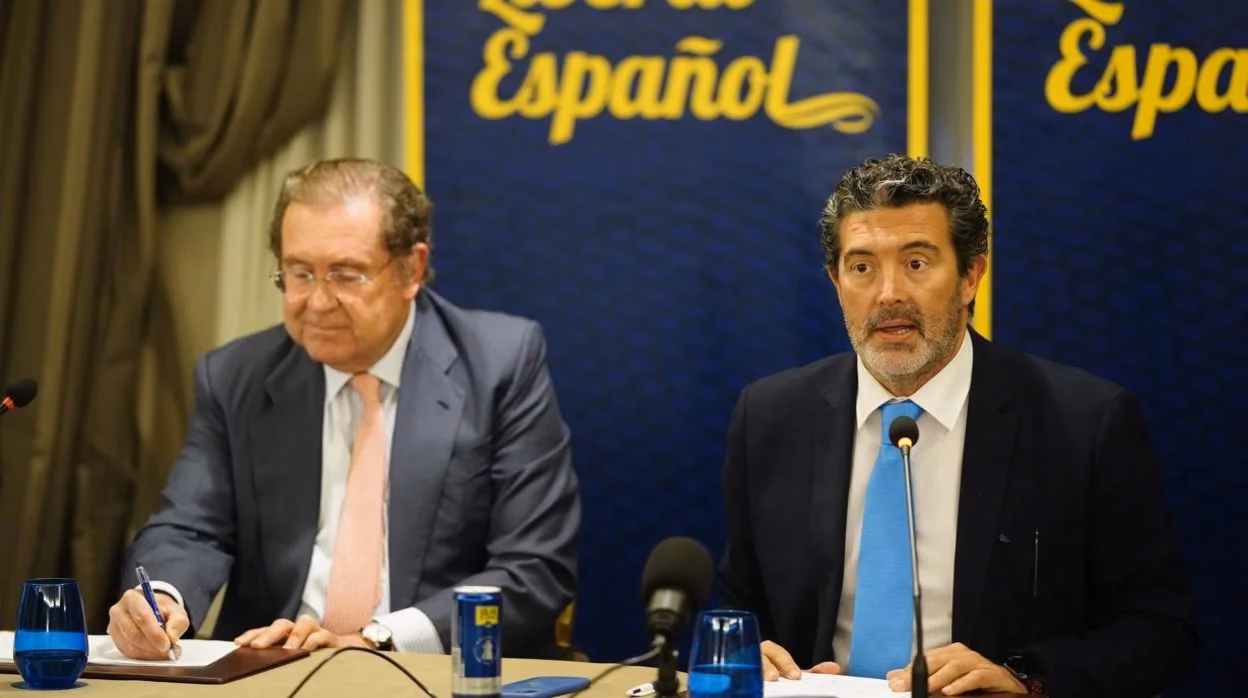 ¿Dónde trabaja actualmente María José Campillo Palomera?