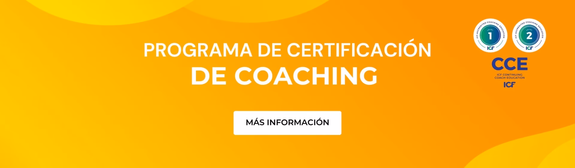 ¿Qué servicios ofrece el centro de coaching Europeo?