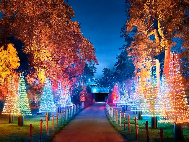 What can you do on a Christmas Day Trip?