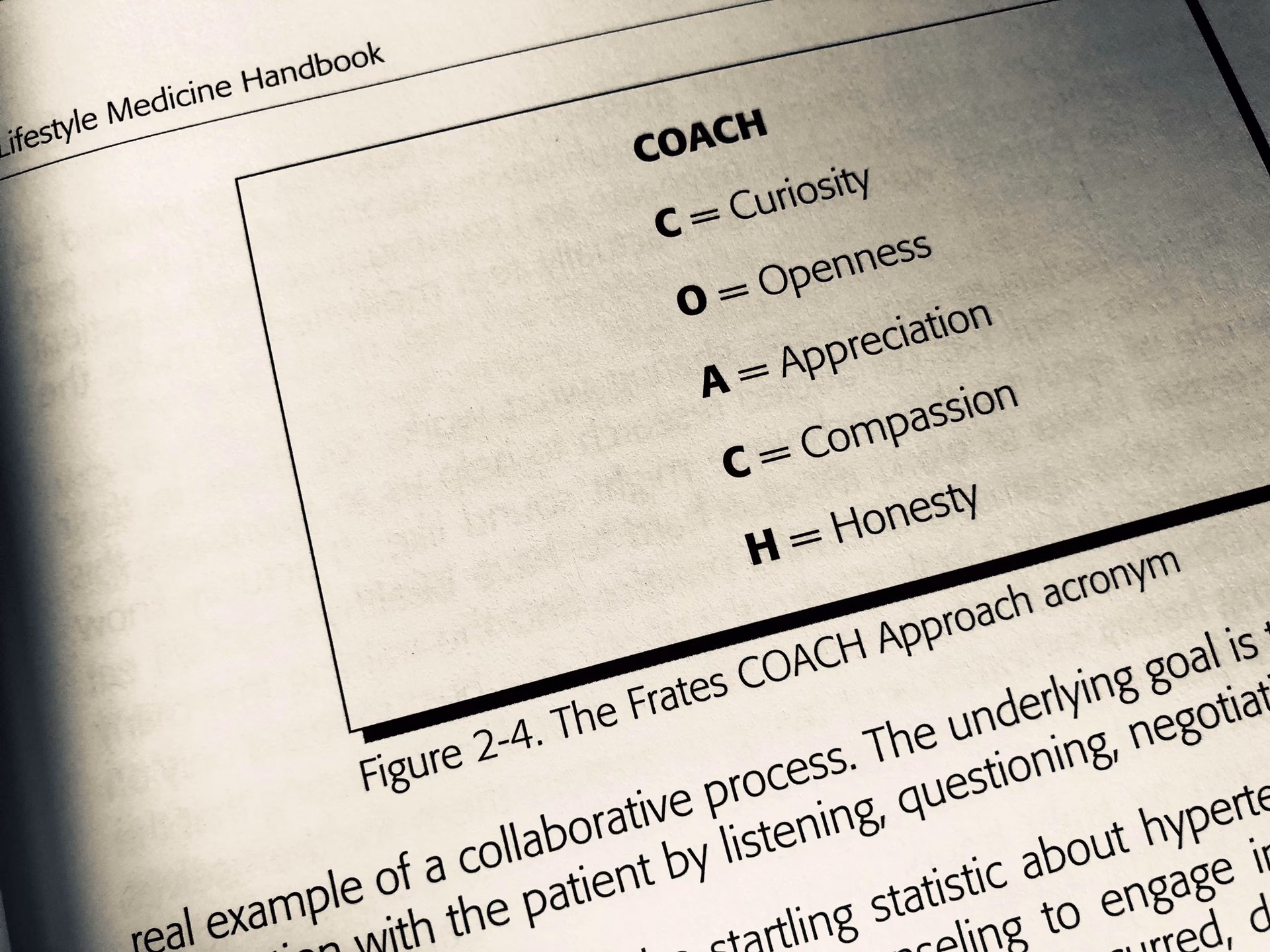 What is a person who acts as a coach called?