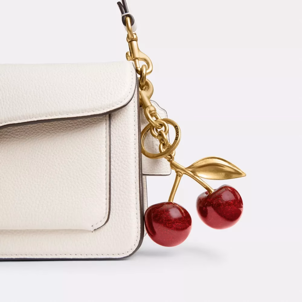 Does a charm add frosting to a coach bag?