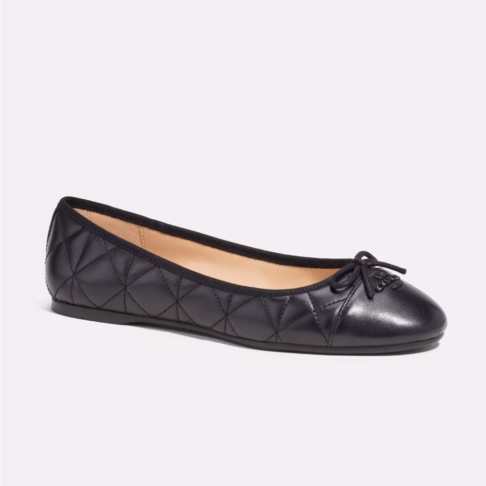 What are Coach Brandi Ballet Flats?