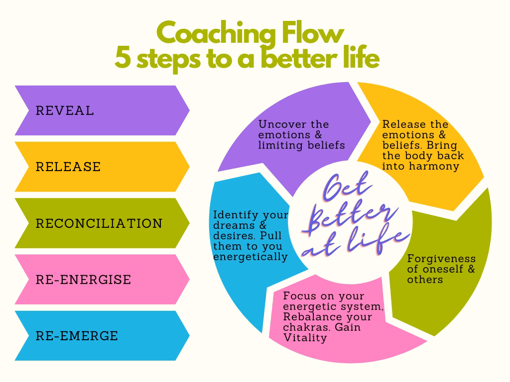 What is coach flow systems?
