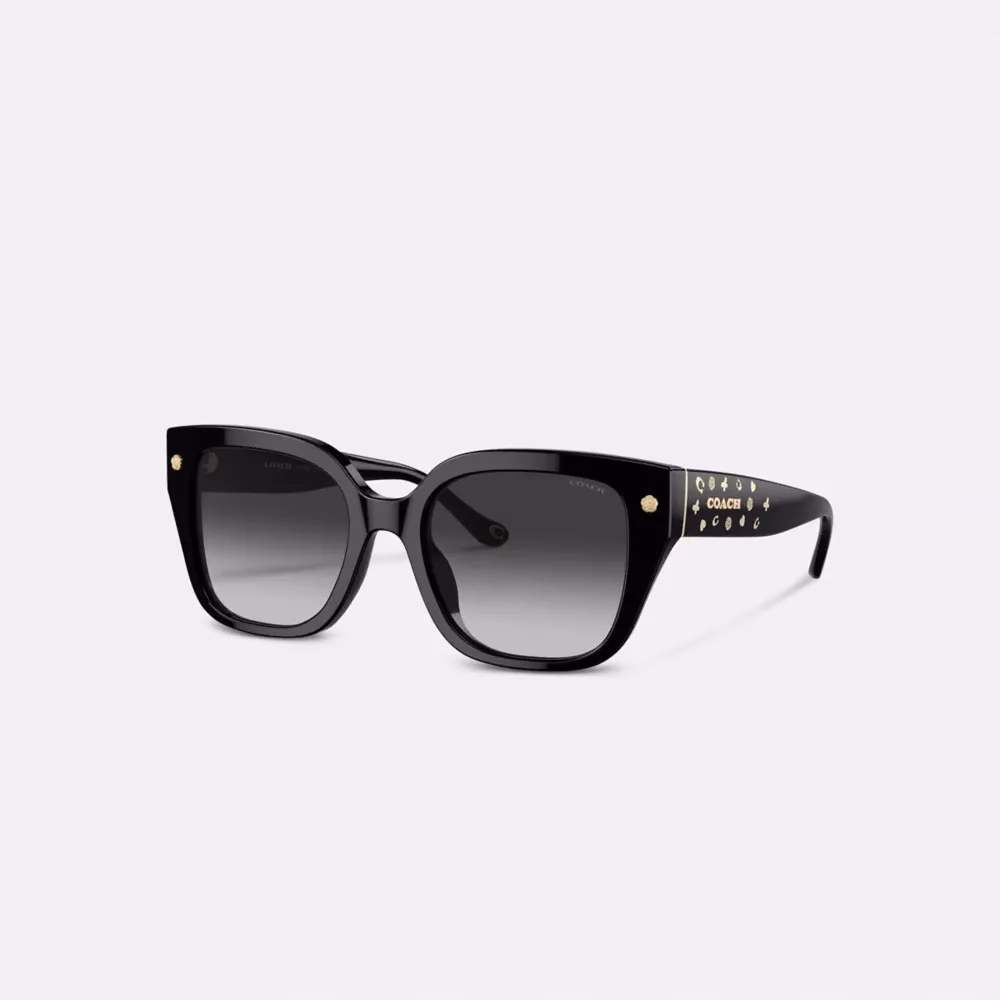 Why should you buy men's Sunglasses at coach outlet?