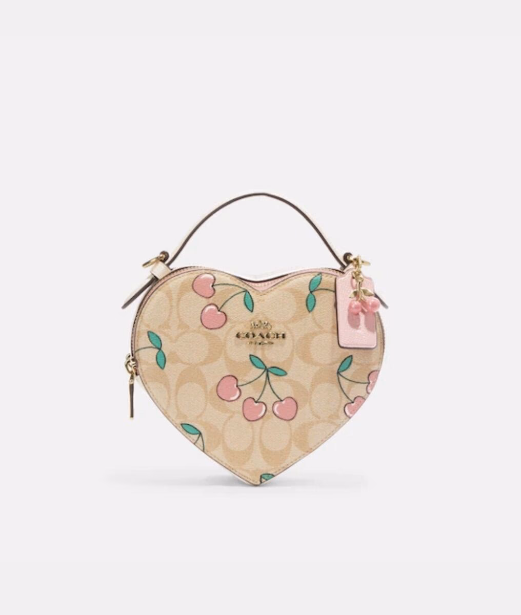 What type of gray purse does Coach make?