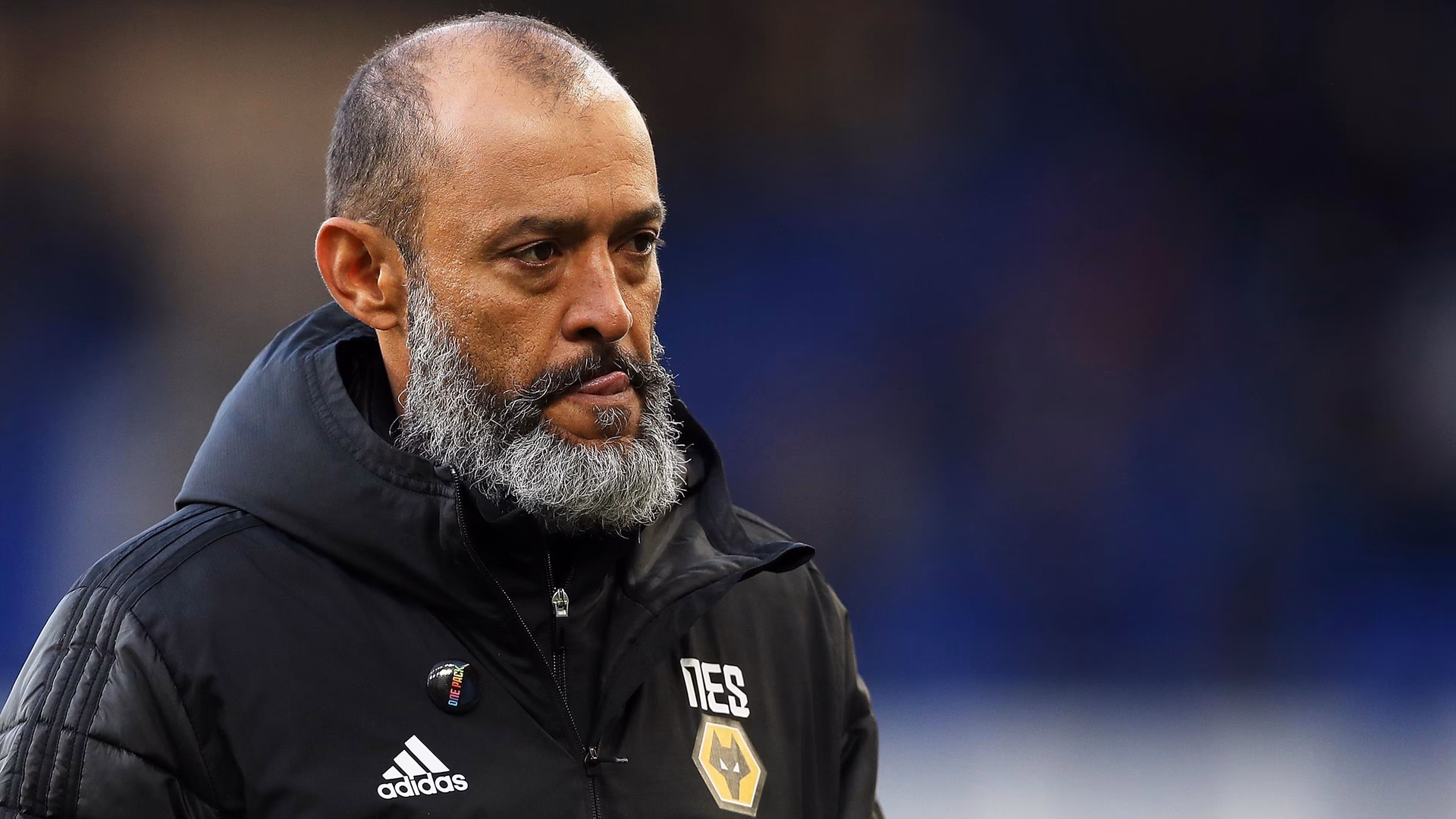 What is Wolves esports?