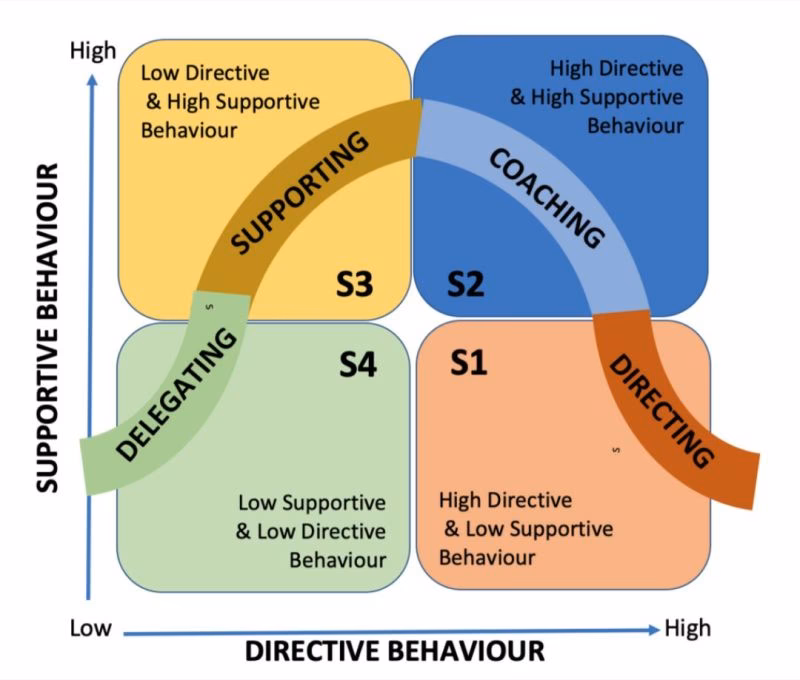What does D1 to D4 mean in leadership?