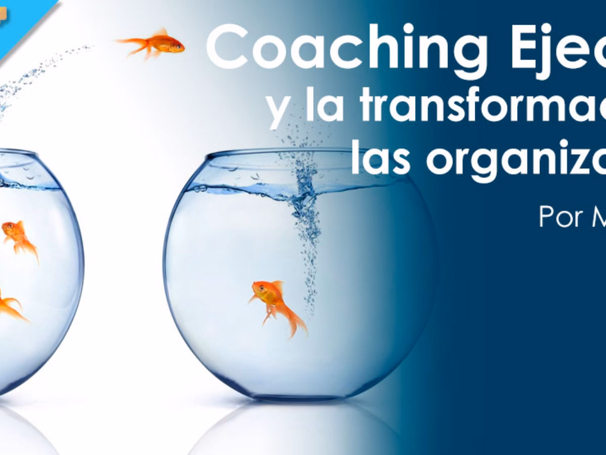 ¿En qué se centra el coaching empresarial?