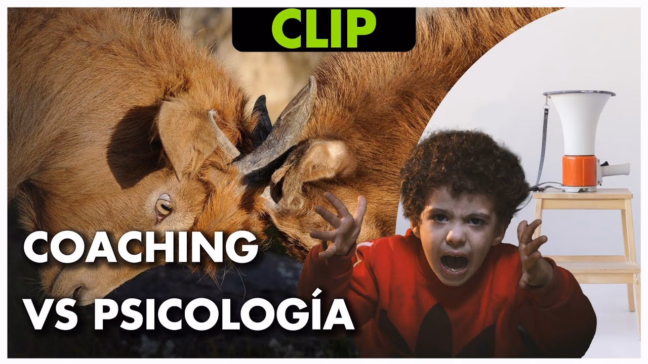 ¿Qué medidas se deben tomar para prevenir el intrusismo profesional?