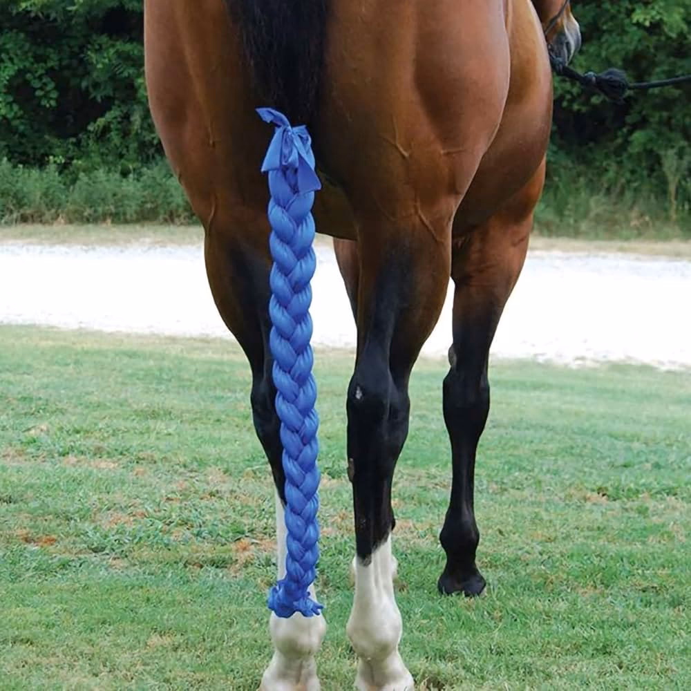 ¿Dónde crece la cola de caballo?