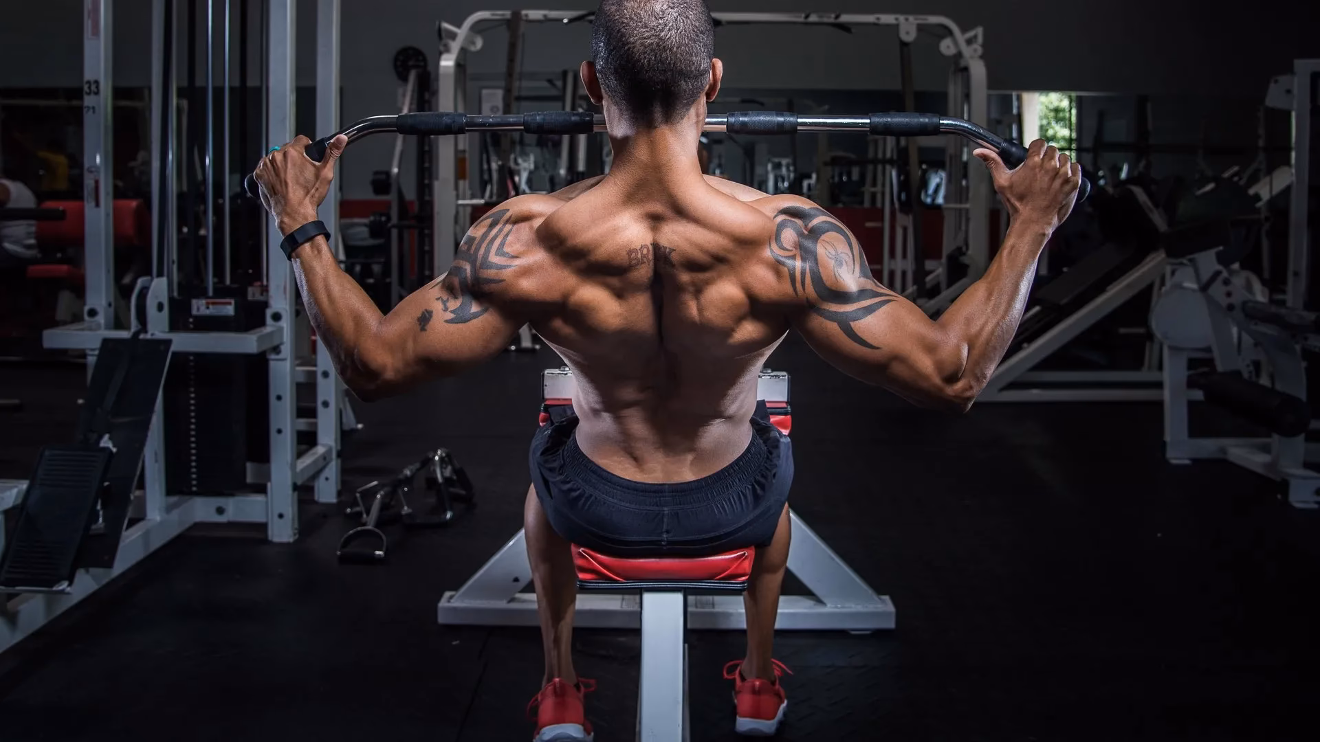 ¿Cuáles son los mejores ejercicios para el dorsal?