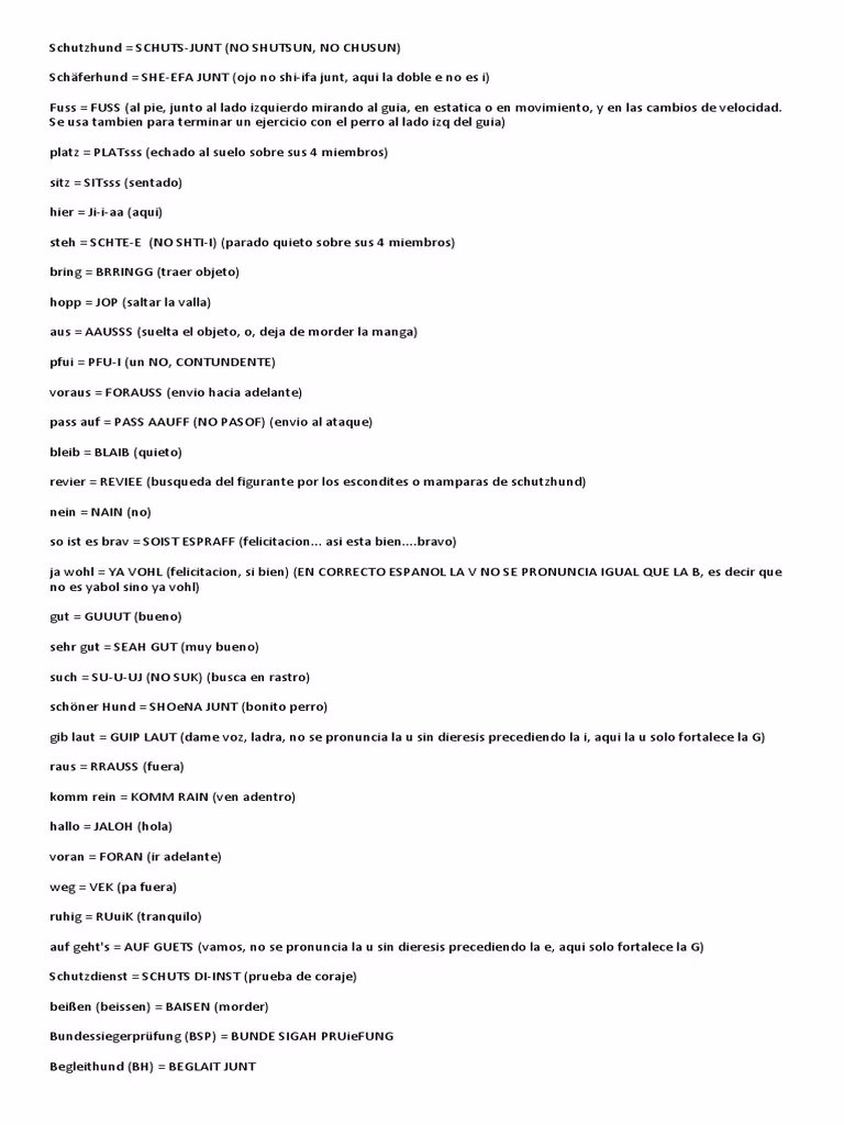 ¿Cómo entrenar a tu canino con comandos para perros en alemán?