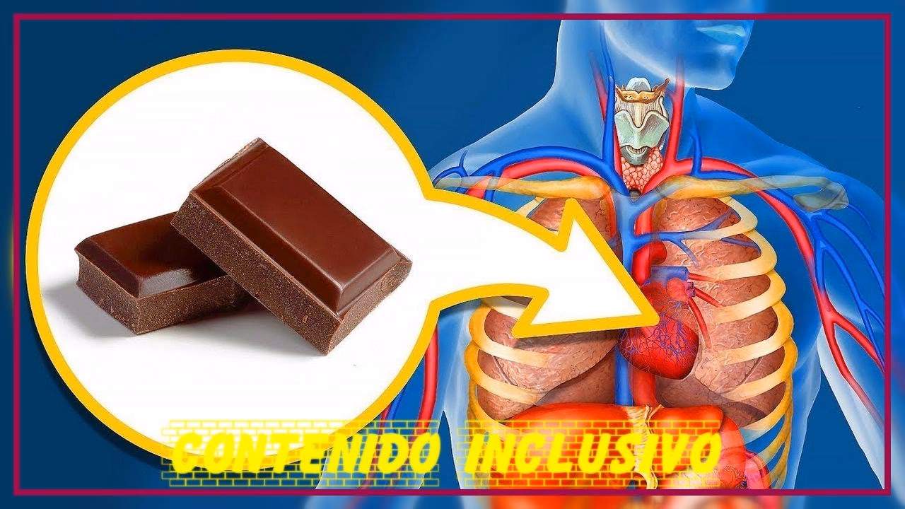 ¿Dónde comer chocolate negro?