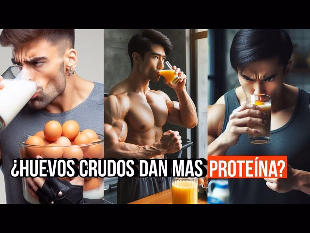 ¿Por qué el huevo crudo reduce la digestibilidad de las proteínas?