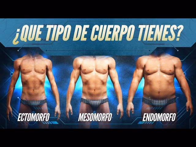 ¿Cuáles son las ventajas de los mesomorfos?