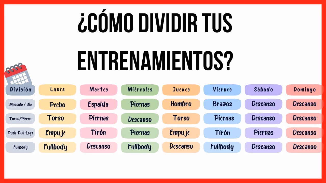 ¿Cómo organizar tu entrenamiento?