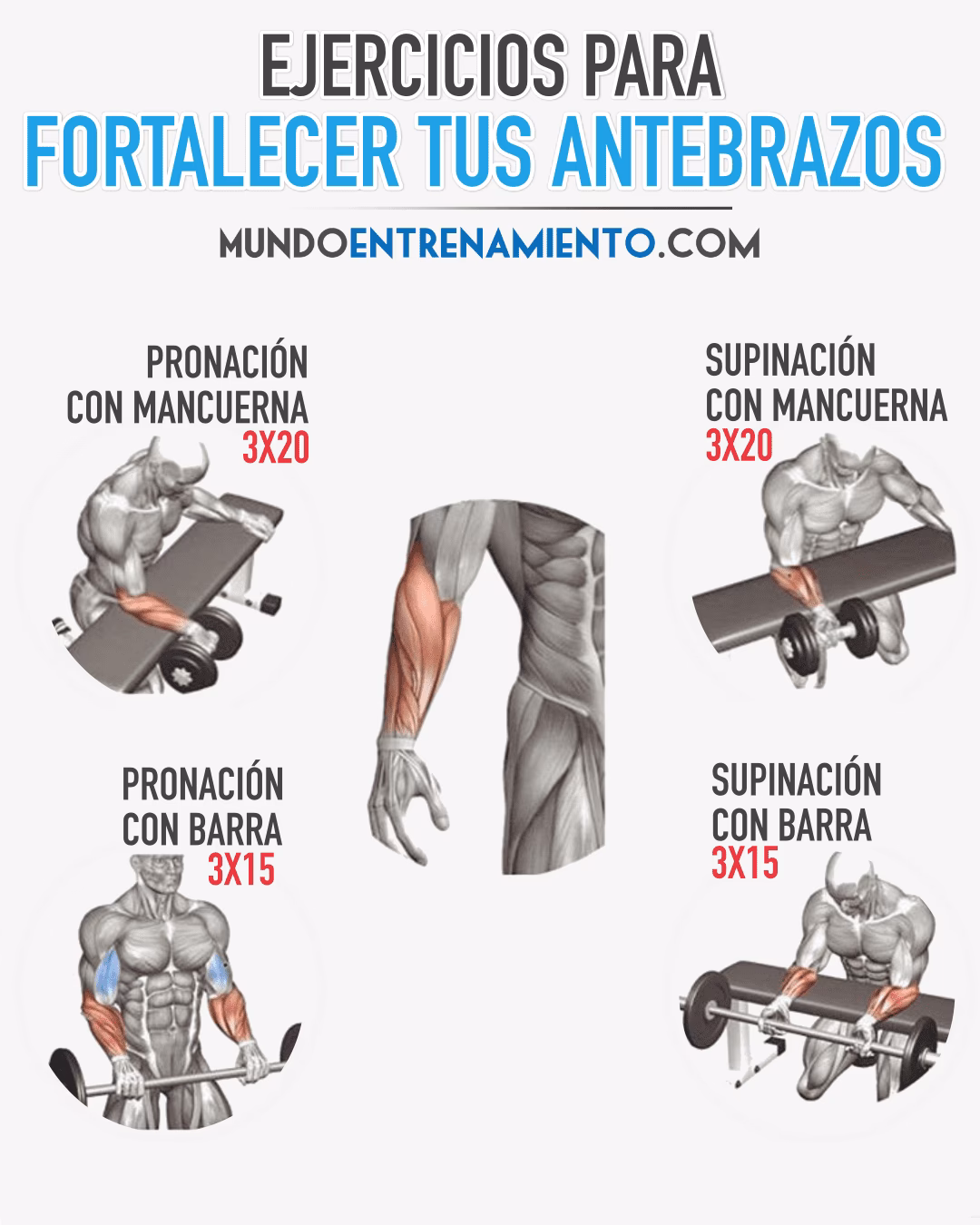 ¿Cómo se activa el pectoral mayor y el braquial?