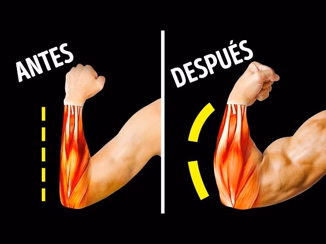 ¿Cómo entrenar antebrazo?