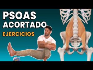 Psoas Ilíaco: El Músculo Clave de tu Espalda Baja | CT Entrenadores