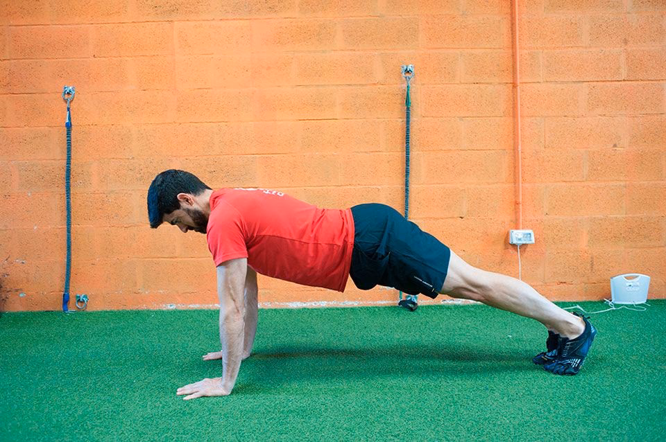 ¿Dónde se inserta el músculo serrato mayor?