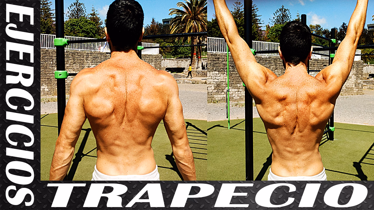 ¿Cuáles son los mejores ejercicios para trabajar el trapecio superior?