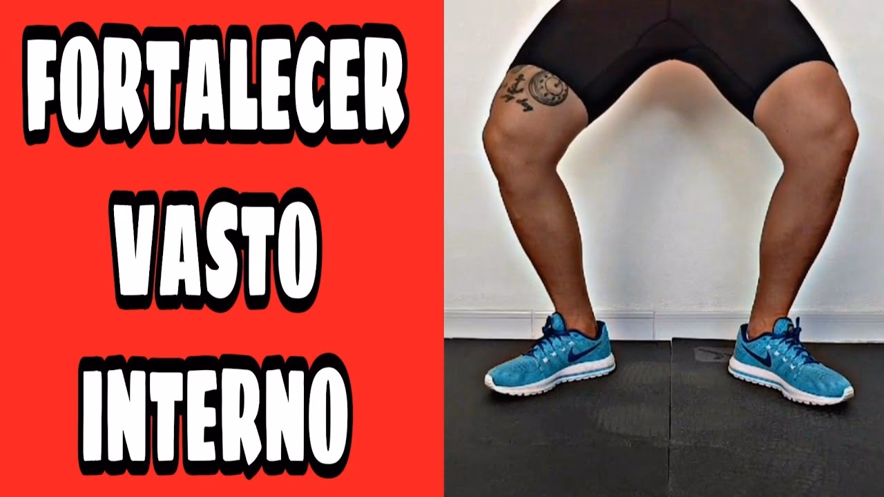 ¿Cuáles son los músculos del vasto interno?