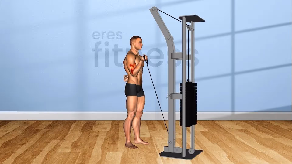 ¿Qué son los ejercicios con poleas?