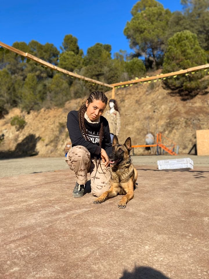 ¿Cómo hacer para que mi perro no se escape de la puerta?