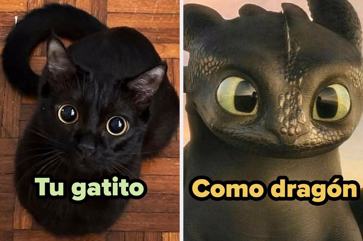 ¿Qué tan rentable es Cómo entrenar a tu dragón?