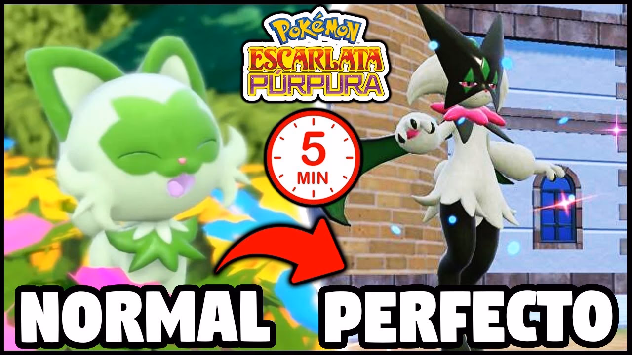 ¿Cómo se hace un maestro entrenador de Pokémon?