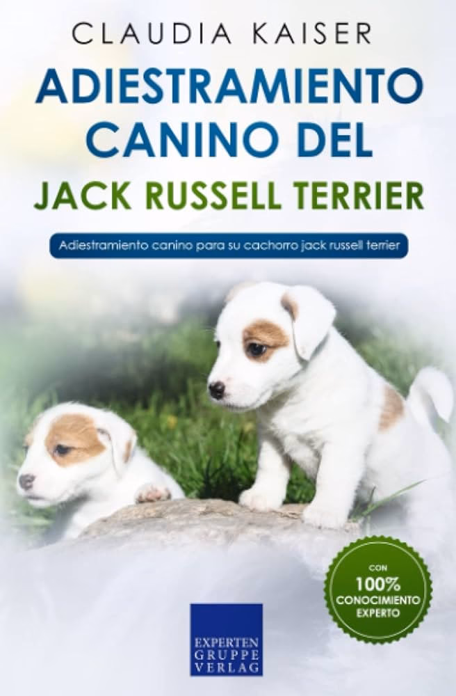 ¿Cómo animar a un jack russell terrier a sentarse?
