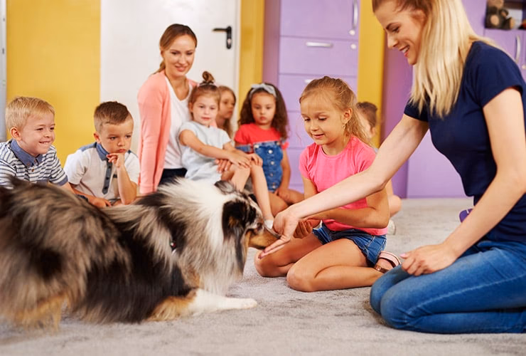 ¿Cómo entrenar un perro de terapias?