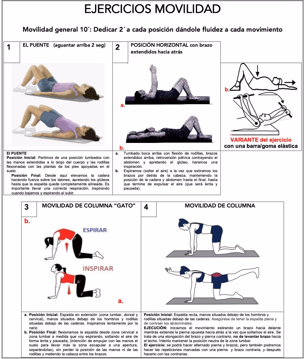 ¿Por qué es importante trabajar las abdominales?